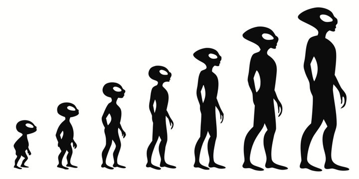 Evolution of humans from early hominids to modern man illustrated in a single image Vector