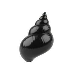 Elegant Glossy Black Spiral Snail Shell