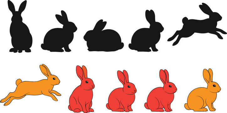 Cute Rabbit Silhouette and Color Illustration Set Showing Different Bunny Poses, Easter Animal Character Collection in Flat Cartoon Vector Style
