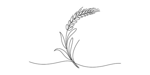 Fototapeta premium Simple black and white line drawing of a wheat stalk with leaves on a plain white background. Vector, illustration
