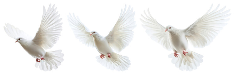 Obraz premium PNG Three graceful white doves soaring, transparent background