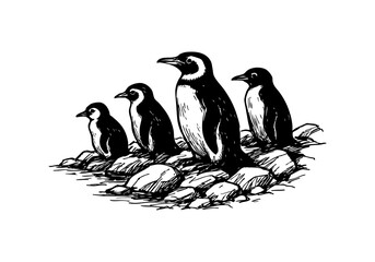 Penguin hand drawn simple ske...Penguin hand drawn simple sketch vector illustration