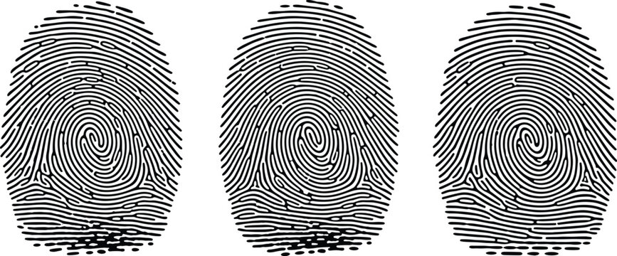 Fingerprint biometric identification vector set with black thumbprint patterns isolated security and forensic illustration collection