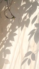 Leaves casting shadows on a textured, off-white surface