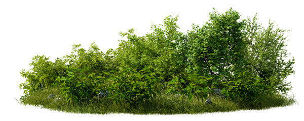 Isolated Green Bushes and Shrubbery With Grass Patch and Rocks