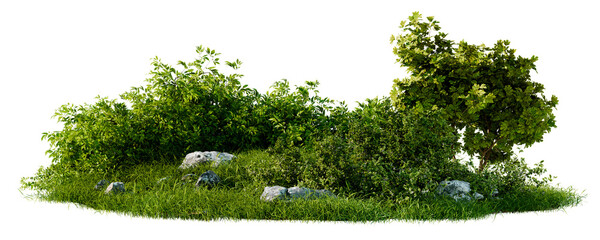 Naklejka premium Lush Green Grass And Bushes With Scattered Rocks