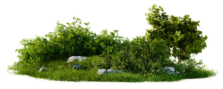 Lush Green Grass And Bushes With Scattered Rocks