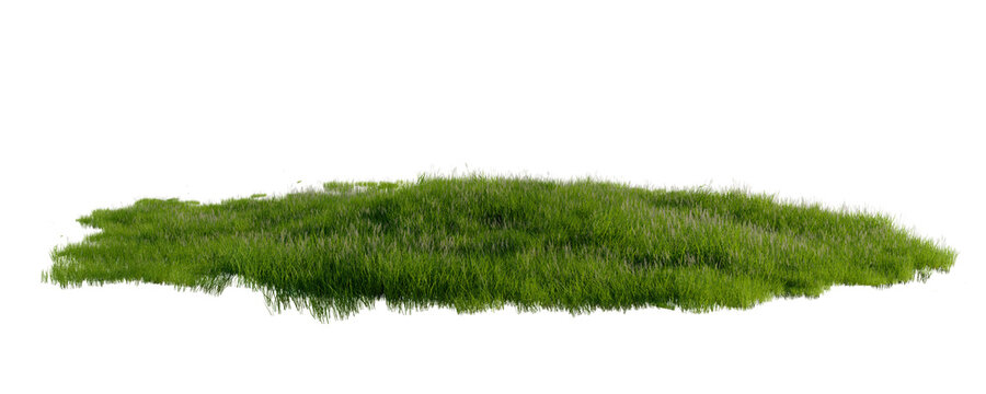 Isolated Lush Green Grass Patch