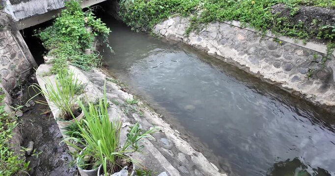 Serene stone canal with potted plants and lush greenery.