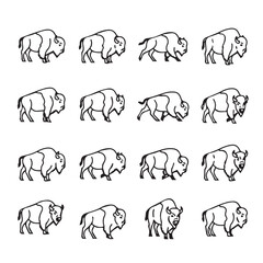 Fototapeta premium Bison Icon Set Various Poses Black and White Line Art