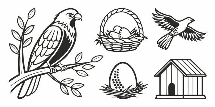 A collection of birds and birdhouses in various styles and designs Vector