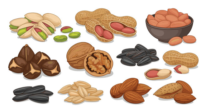 Large assortment of various nuts and seeds includes pistachios, walnuts, almonds, peanuts, and sunflower seeds.