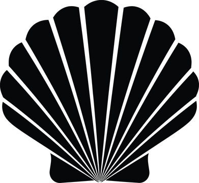 A striking black scallop shell illustration with radiating lines ideal for designs on transparent background silhouette high quality professional detailed modern