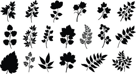 Collection of various black silhouette plant illustrations
