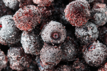 A bunch of frozen blueberries