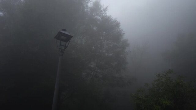 Spooky scene with a vintage streetlamp standing alone amidst trees shrouded in dense, moving fog, creating an eerie and mysterious atmosphere in the dark woods of Rupit, Catalonia