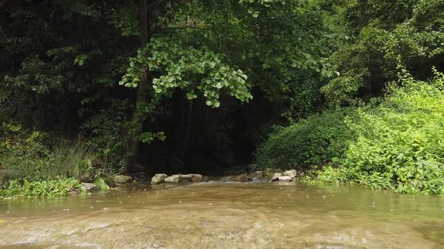 Calm stream with clear water flowing through a lush green forest during a sunny day in Rupit, Catalonia, Spain. The gentle current moves over rocks in a peaceful natural environment