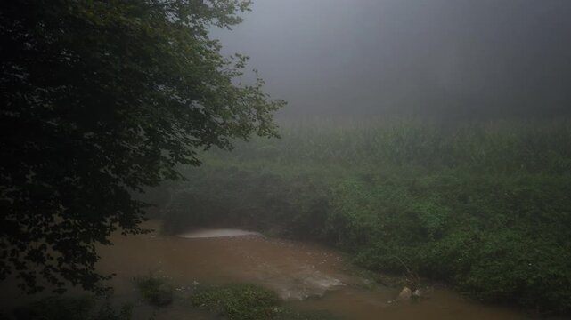 Eerie landscape of a foggy river flowing through a lush green forest. The dense mist creates a mysterious and melancholic atmosphere, covering the dense vegetation and the murky water