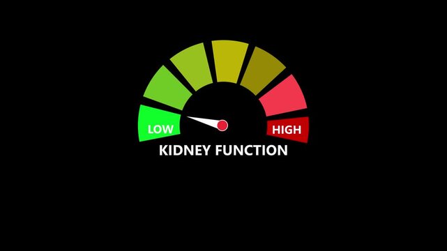 Kidney function gauge animation low health monitoring medical visualization medical animation