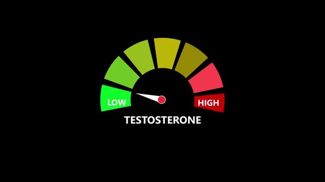 Low testosterone level indicator gauge animation medical health concept low testosterone gauge