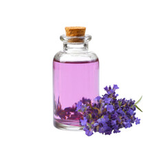 lavender essential oil bottle with fresh flowers on white background