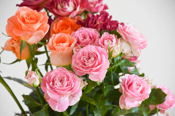 カラフルな薔薇