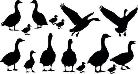 Black silhouette collection of wild geese and cute goslings flying and standing isolated on white background for nature vector design © BIPUL