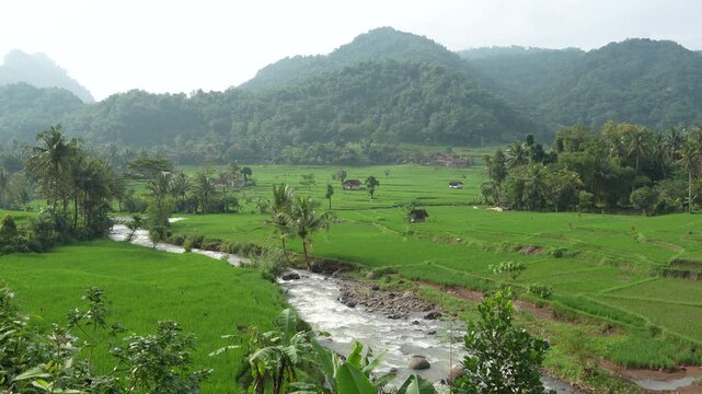 Cinematic wide shot of green rice valley and mountains in Sumedang, Indonesia. Ideal for nature documentaries and adventure travel backgrounds. 