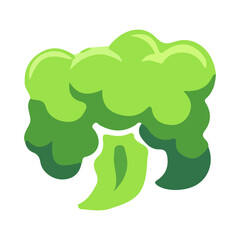 Fototapeta premium Green Broccoli Icon Isolated