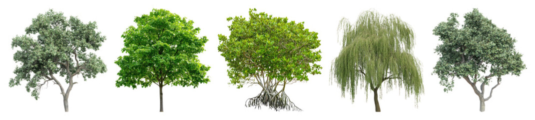 Obraz premium PNG Diverse trees with lush foliage, transparent background