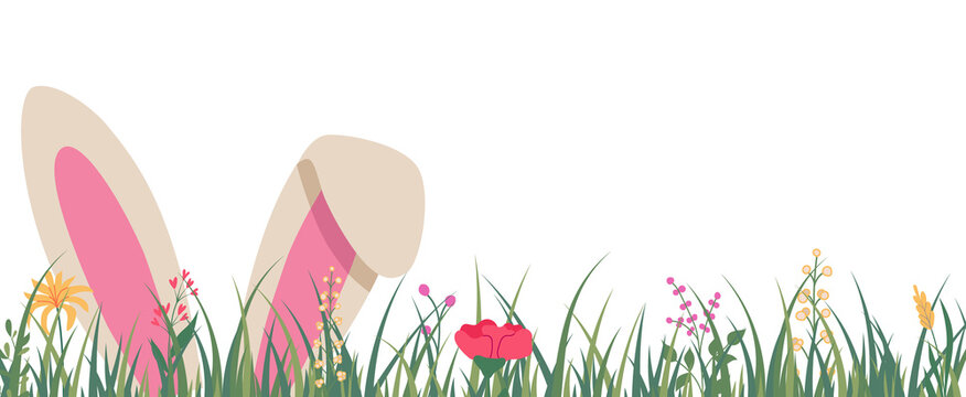 Horizontal banner with a rabbit's ears in fresh green grass. Easter spring floral backdrop. Illustration on a transparent background