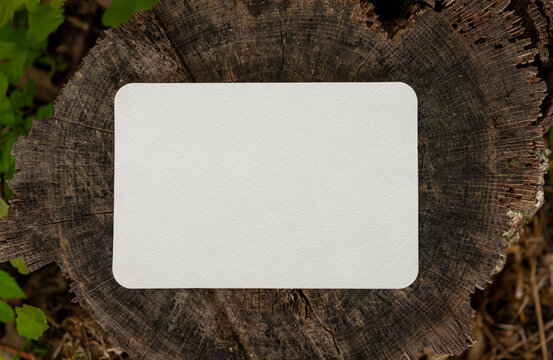 Empty white paper card on the old wooden texture of tree stump background