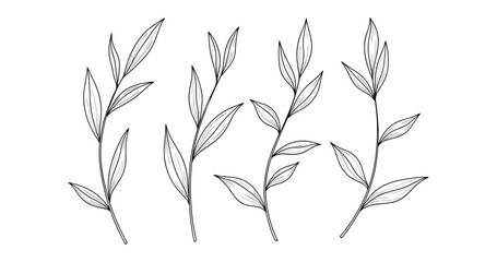 Fototapeta premium Minimalist botanical sketch of four black and white leaf branches
