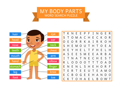 My Body Parts &ndash; Word Search Puzzle for Kids
Cute educational illustration for children featuring a smiling cartoon boy with labeled body parts and a word search puzzle. Fun learning activity designed 