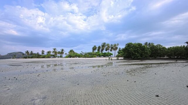 Wet tidal sandflat facing coastal vegetation under cloudy daylight in Thailand