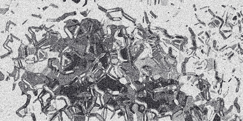 Abstract monochrome textured surface with intricate organic shapes and a granular overlay, suggesting a complex biological or geological pattern