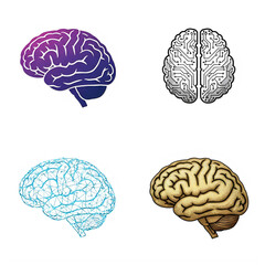 Four colorful brain illustrations in different styles isolated on transparent background