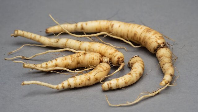 Dang shen roots on a gray background