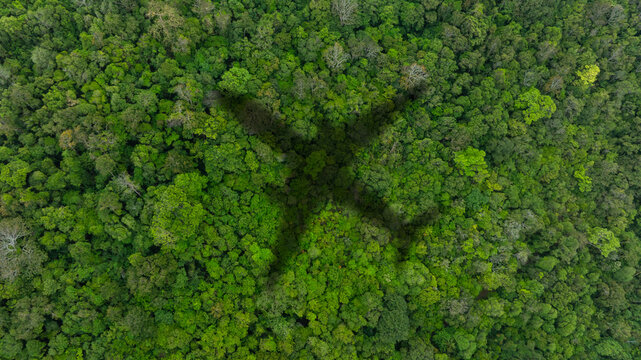 Top view of a large airplane shadow gliding over a lush green tropical rainforest canopy, symbolizing air travel, adventure, and flight transit over nature. concept nature travel