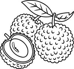Hand-drawn lychee fruit coloring page with seeds and leaves vector illustration
