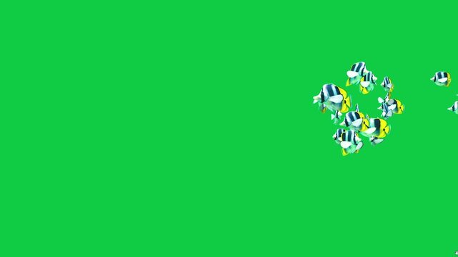 Shoaling and schooling of Beautiful coral reefs and tropical fish aquarium colorful sea salt water fantasy avatar alien fish deep sea fish green blue black screen