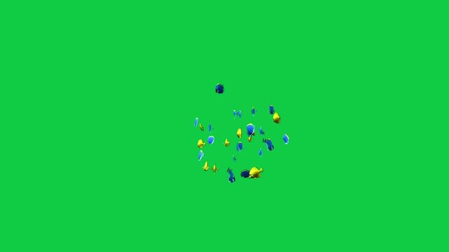 Shoaling and schooling of Beautiful coral reefs and tropical fish aquarium colorful sea salt water fantasy avatar alien fish deep sea fish green blue black screen