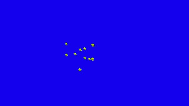Beautiful Yellow tang coral reefs and tropical fish aquarium colorful sea salt water fantasy avatar alien fish deep sea fish green blue black screen