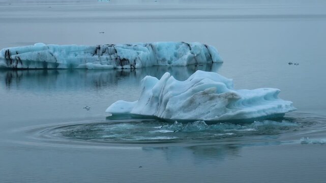 Lagoon Filled With Icebergs With Flipping Glacier In Iceland. Close-up Shot