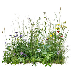 Isolated patch of wildflowers and grass on transparent background, suitable for nature compositions, landscaping design, and creative projects © farid4kbar