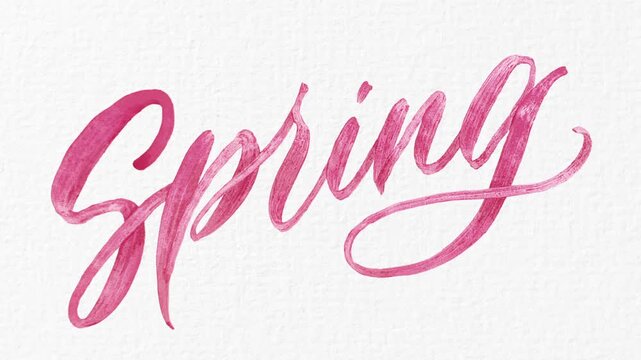 Handwritten brush calligraphy stroke animation of the word Spring with pink ink on white paper background