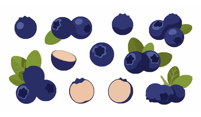 Ripe blueberry flat vector illustration fresh healthy berry fruit collection isolated © Mdjony