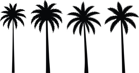 Fototapeta premium Realistic Palm Tree Silhouettes Set Tropical Coconut Trees Vector Illustration Isolated on White Background Summer Beach Island Nature Design