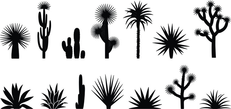 Silhouette collection of desert plants including cacti and succulents on a white background Keywords: silhouette, desert, plants