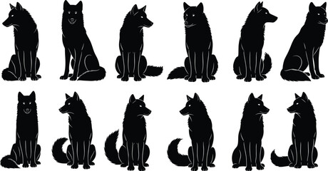 Black wolf silhouettes set featuring various sitting poses of wild forest animals isolated on white background for nature wildlife and predator design projects © Junayid